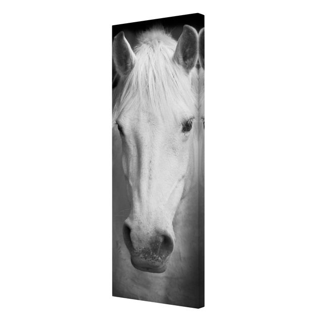 Print on canvas - Dream Of A Horse