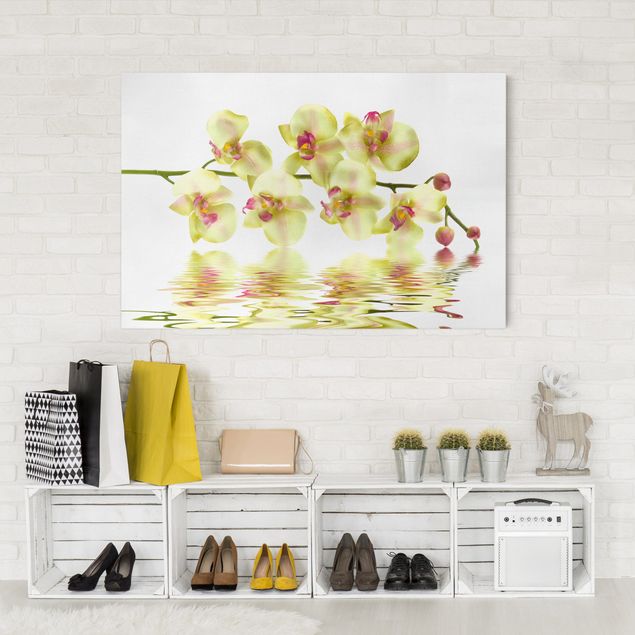 Print on canvas - Dreamy Orchid Waters