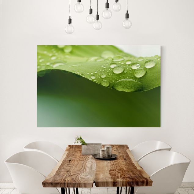 Print on canvas - Drops Of Nature