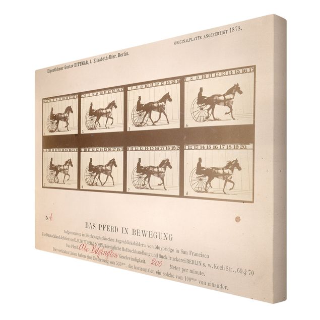 Print on canvas - Eadweard Muybridge - The horse in Motion