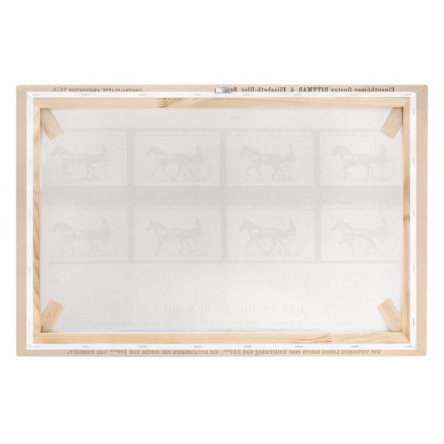Print on canvas - Eadweard Muybridge - The horse in Motion