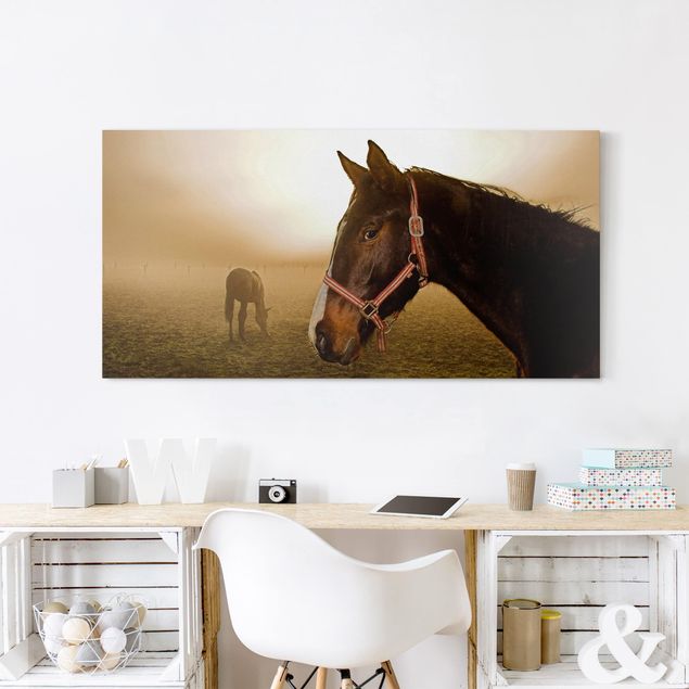 Print on canvas - Early Horse