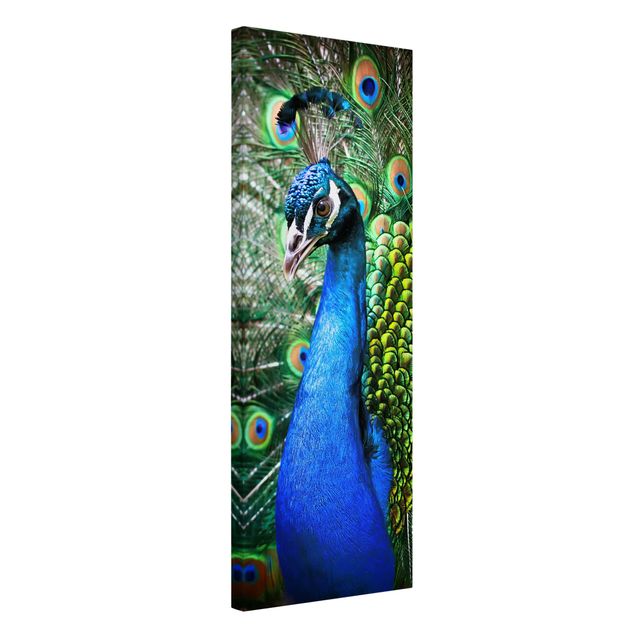 Print on canvas - Noble Peacock