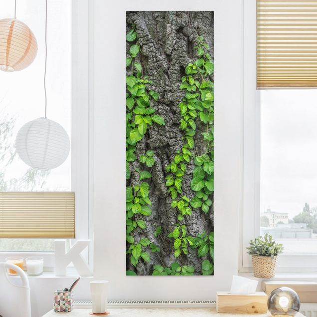 Print on canvas - Ivy Tendrils Tree Bark