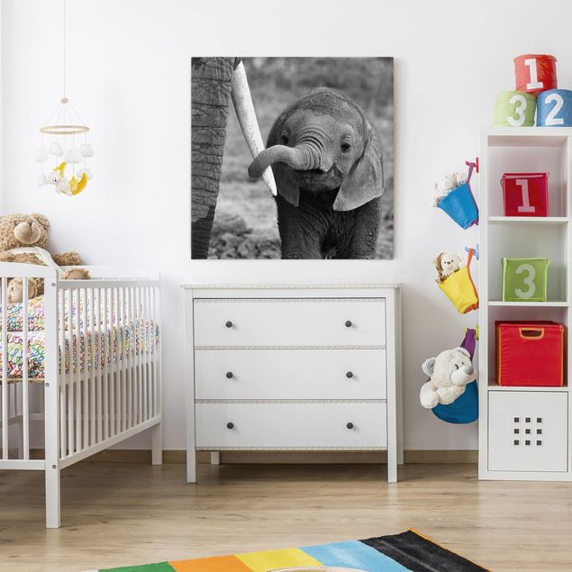 Print on canvas - Baby Elephant