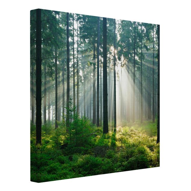 Print on canvas - Enlightened Forest