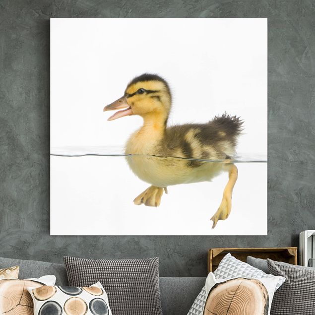 Print on canvas - Duckling I