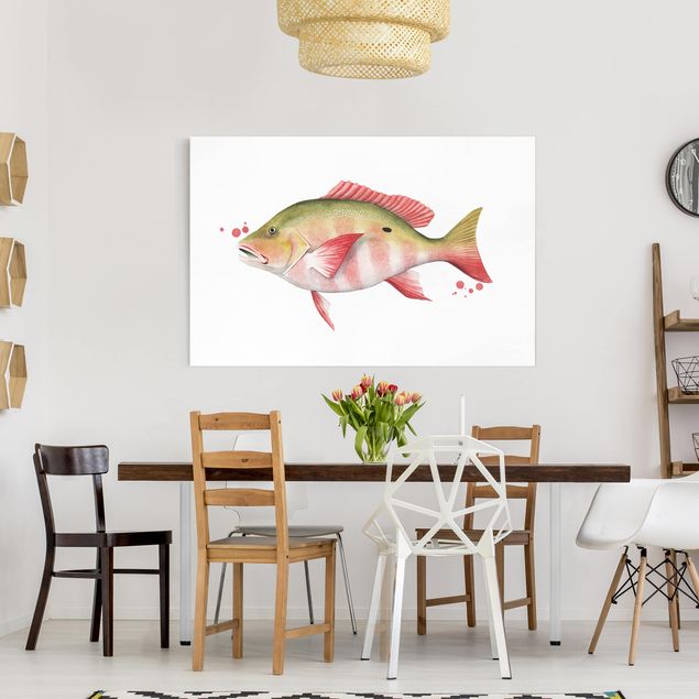 Print on canvas - Color Catch - Northern Red Snapper