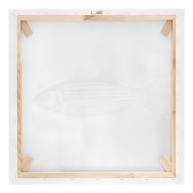Print on canvas - Color Catch - White Perch