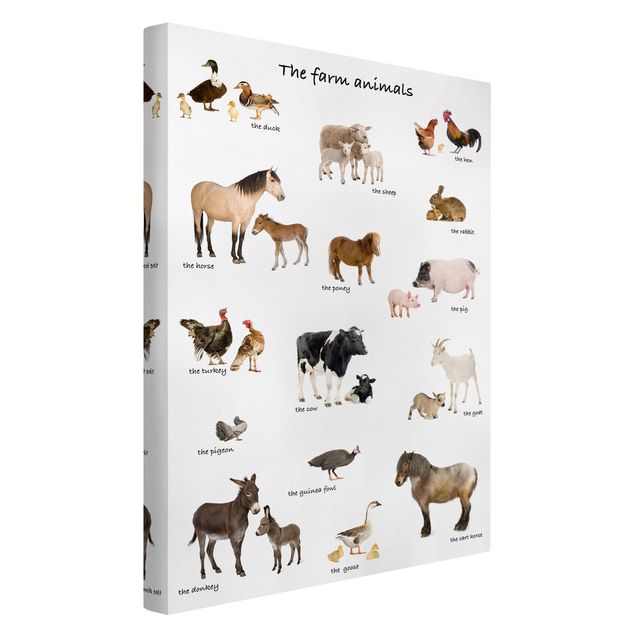 Print on canvas - Farm Animals