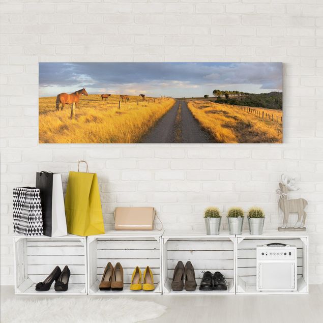 Print on canvas - Field Road And Horse In Evening Sun