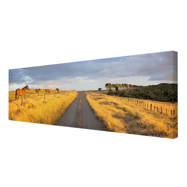 Print on canvas - Field Road And Horse In Evening Sun