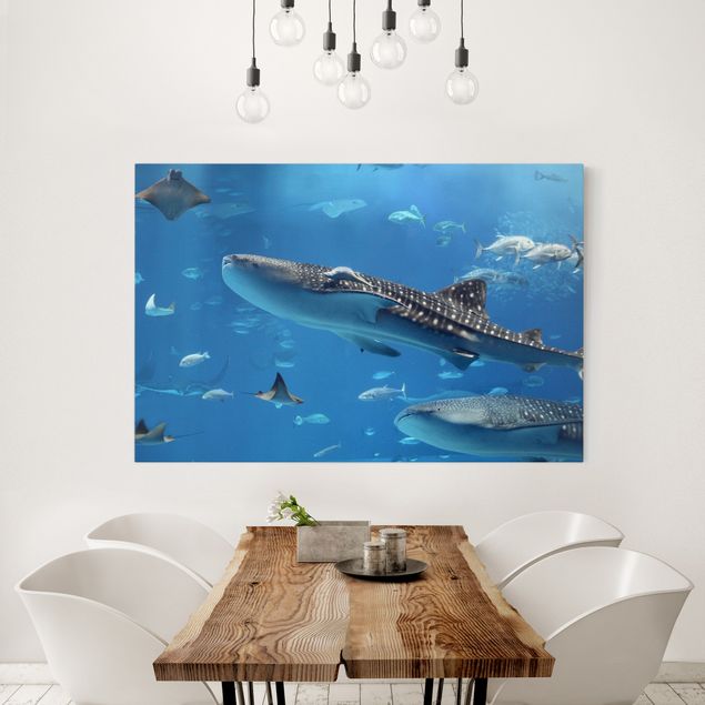 Print on canvas - Fish in the Sea