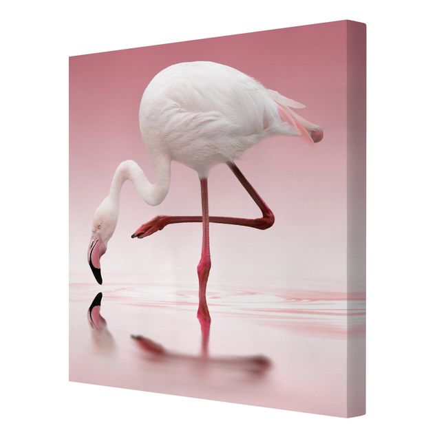 Print on canvas - Flamingo Dance