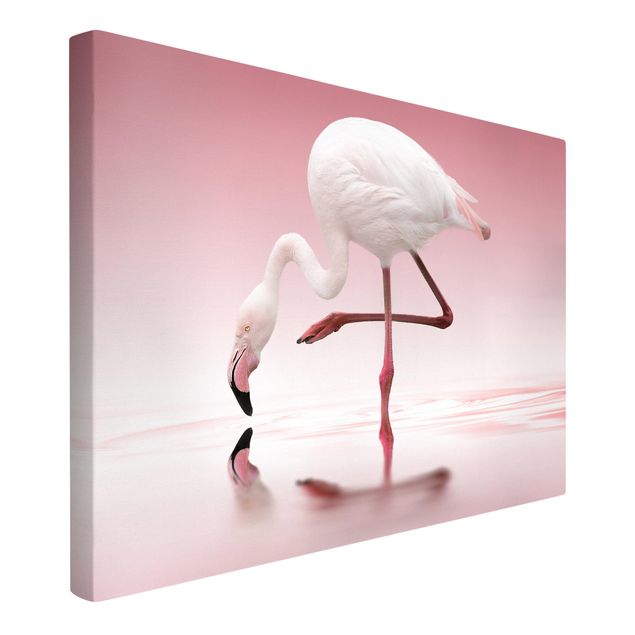 Print on canvas - Flamingo Dance