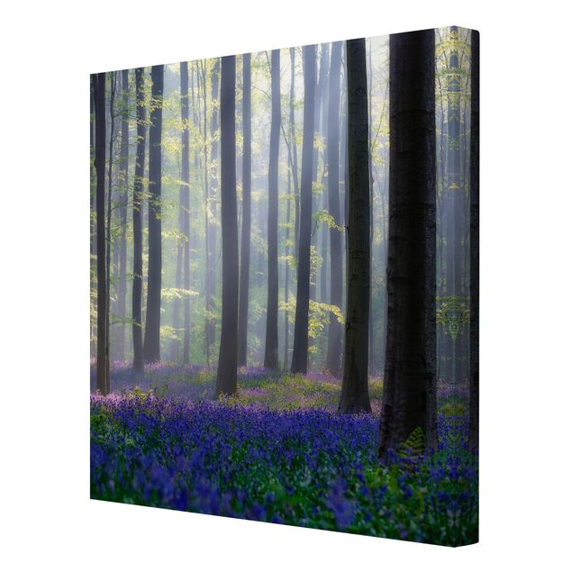 Print on canvas - Spring Day In The Forest