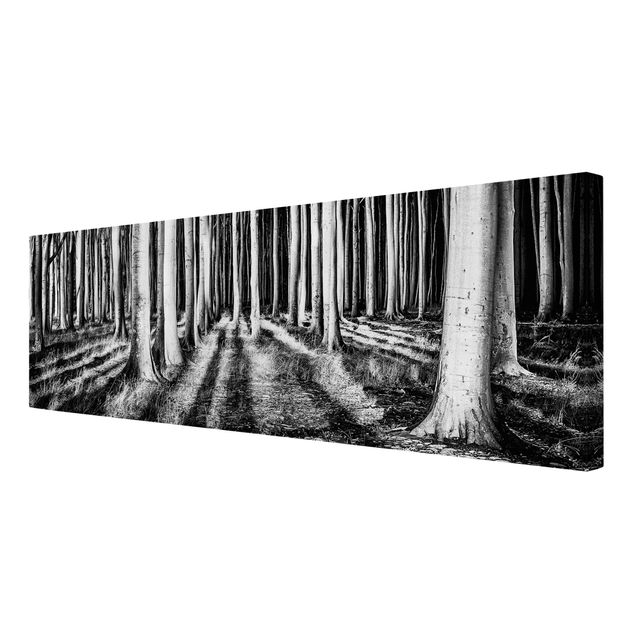 Print on canvas - Spooky Forest