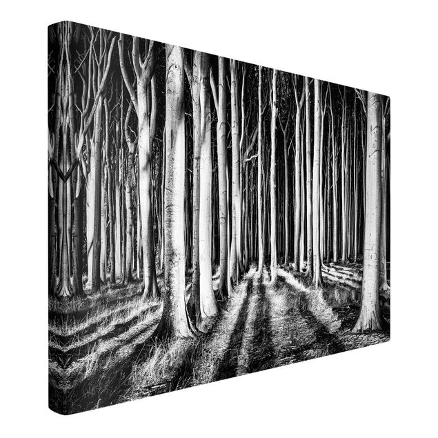 Print on canvas - Spooky Forest