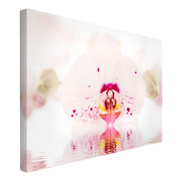 Print on canvas - Dotted Orchid On Water