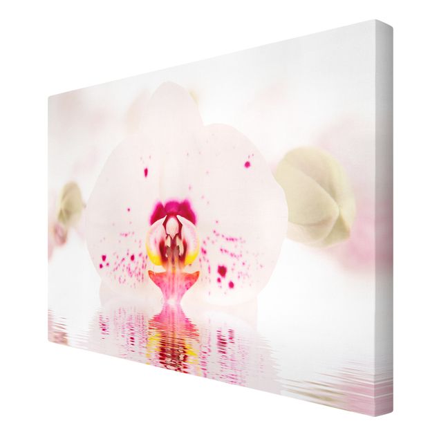 Print on canvas - Dotted Orchid On Water