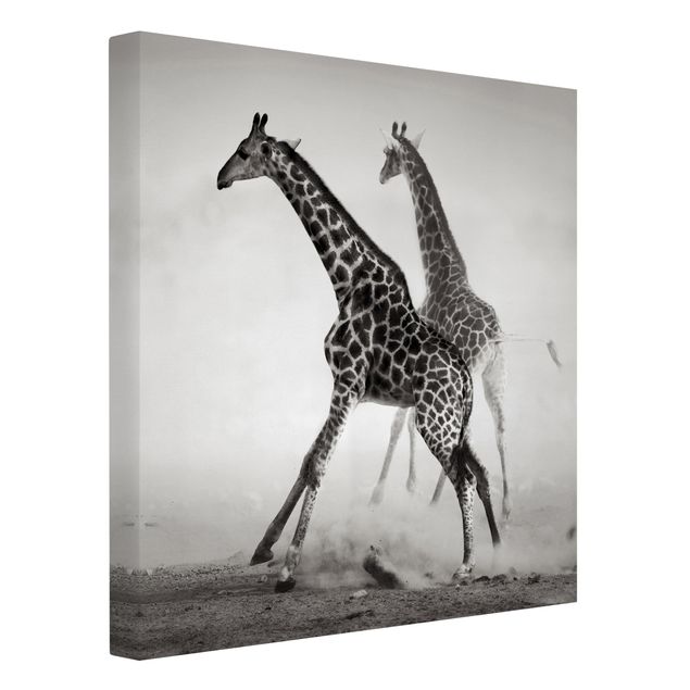 Print on canvas - Giraffe Hunt