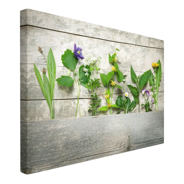 Print on canvas - Medicinal and Meadow Herbs