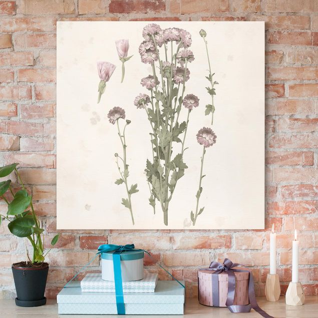 Print on canvas - Herbarium In Pink I