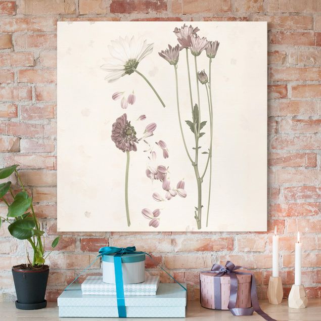 Print on canvas - Herbarium In Pink II