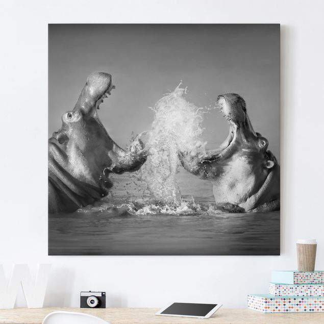 Print on canvas - Hippo Fight