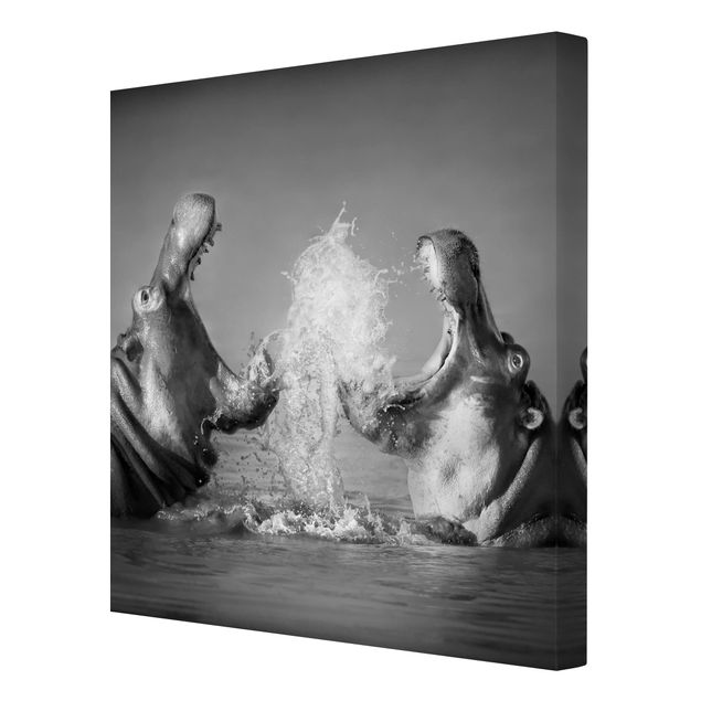 Print on canvas - Hippo Fight