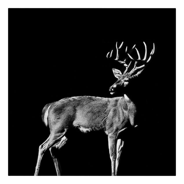 Print on canvas - Deer In The Dark