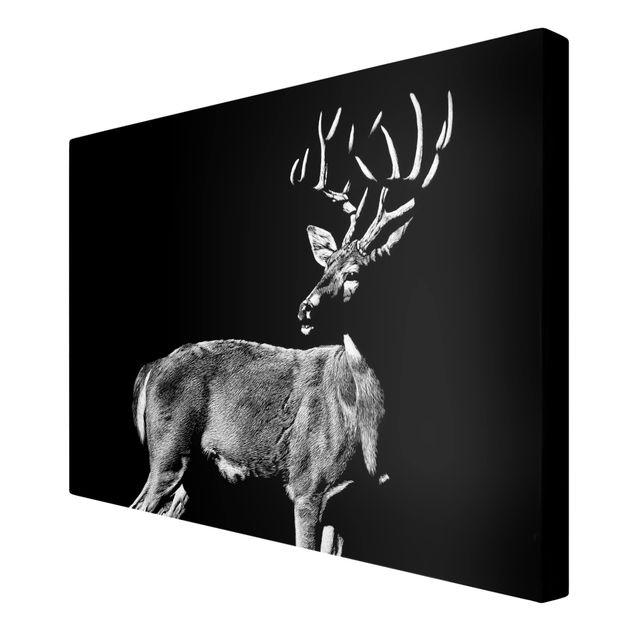 Print on canvas - Deer In The Dark