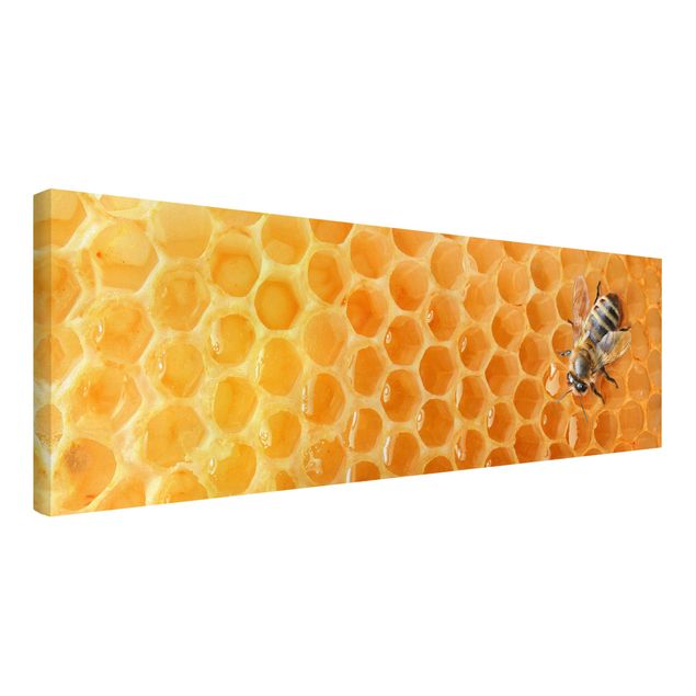 Print on canvas - Honey Bee