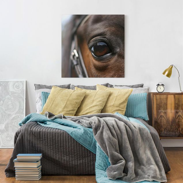 Print on canvas - Horse Eye No.3