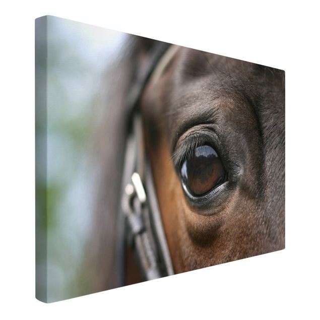 Print on canvas - Horse Eye
