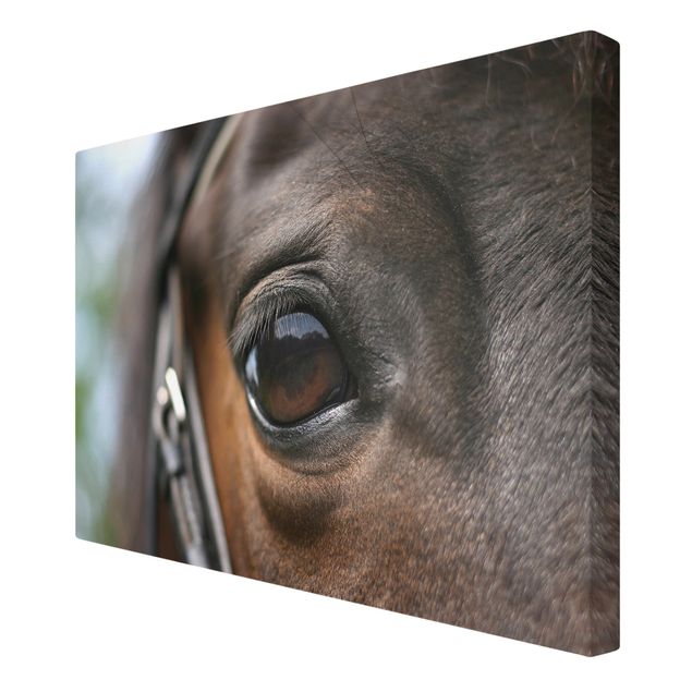 Print on canvas - Horse Eye