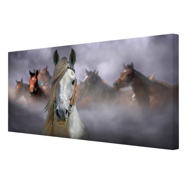 Print on canvas - Horses in the Dust