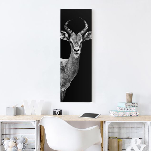 Print on canvas - Impala antelope black and white