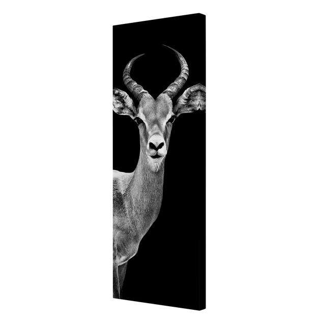 Print on canvas - Impala antelope black and white