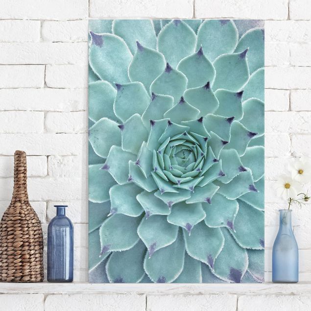 Print on canvas - Cactus Agave
