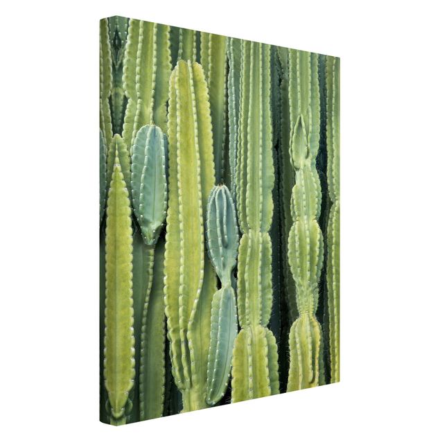 Print on canvas - Cactus Wall