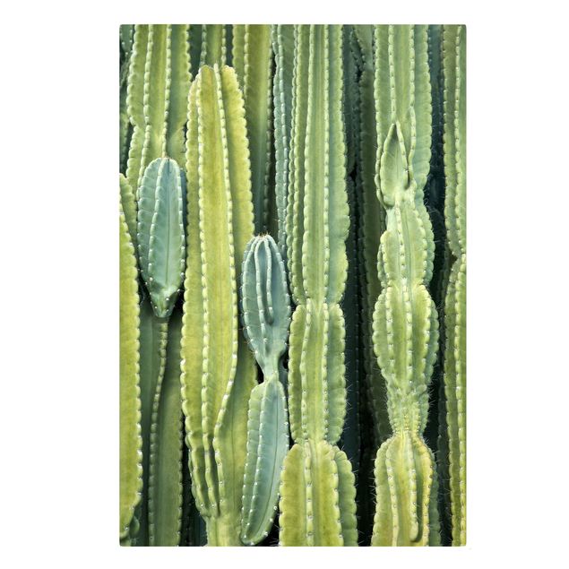 Print on canvas - Cactus Wall