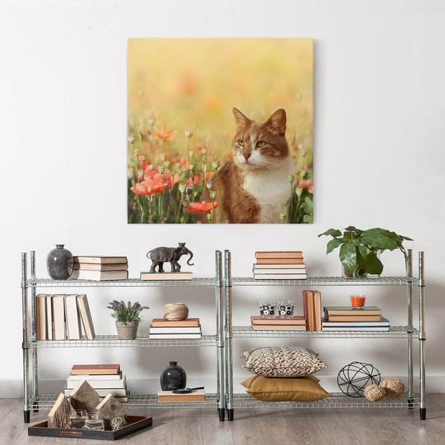 Print on canvas - Cat In A Field Of Poppies