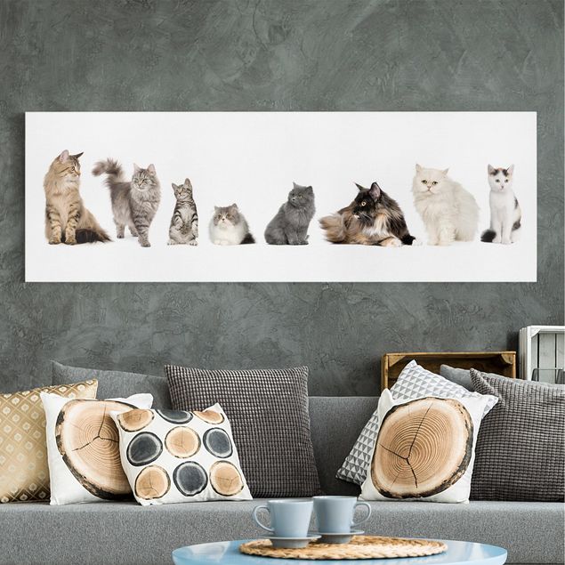 Print on canvas - Cat Gang