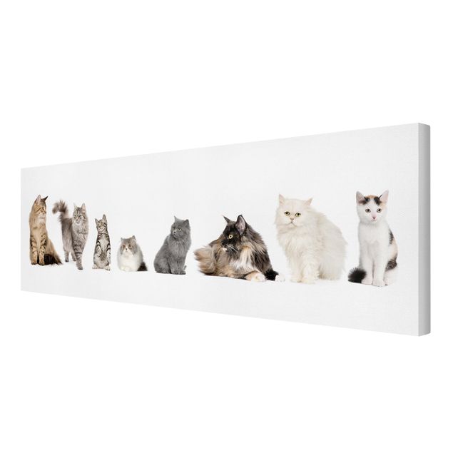 Print on canvas - Cat Gang