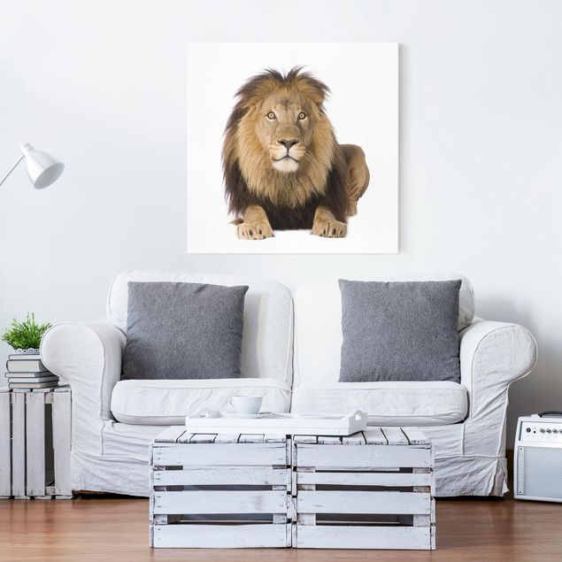 Print on canvas - King Lion ll