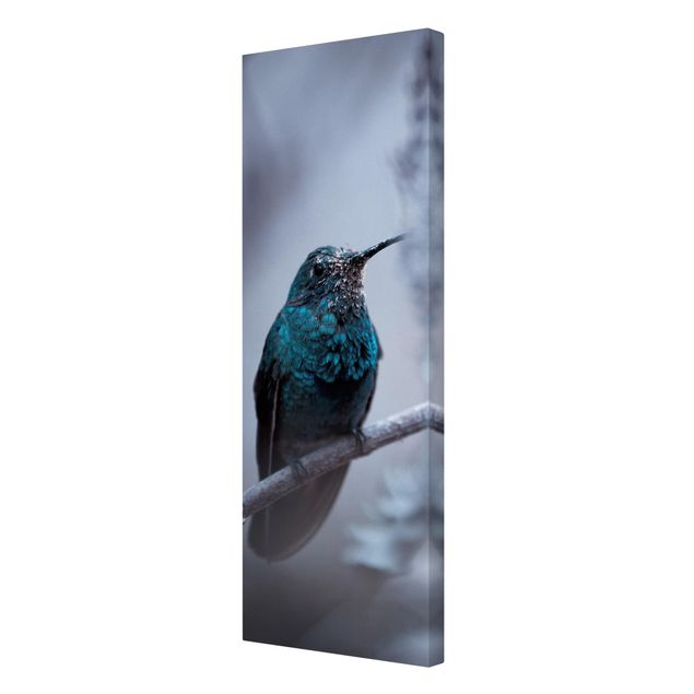 Print on canvas - Hummingbird In Winter