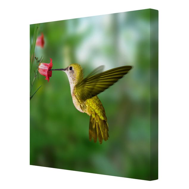 Print on canvas - Hummingbird And Flower