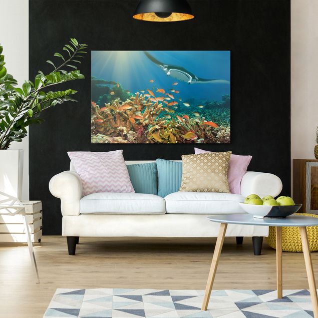 Print on canvas - Coral reef
