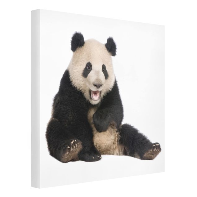 Print on canvas - Laughing Panda